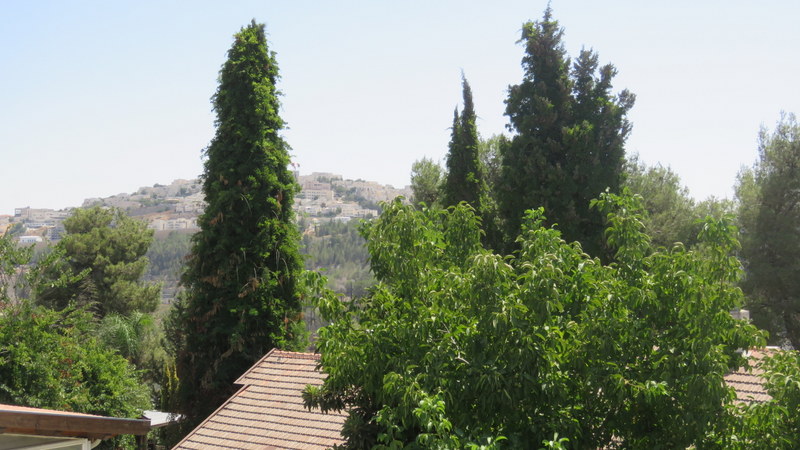 ada26d61b1_13.jpg