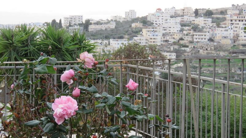 44e7eda36e_0f44c2a282_0adbce2939_1752-rabin-9.jpeg